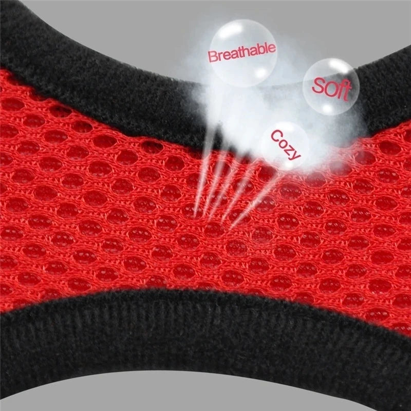 Dog Harness for Small Dogs Cats