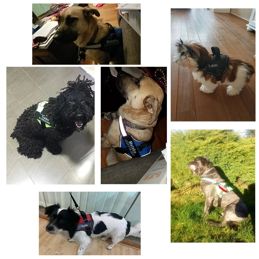 Dog Harness NO PULL Reflective Breathable