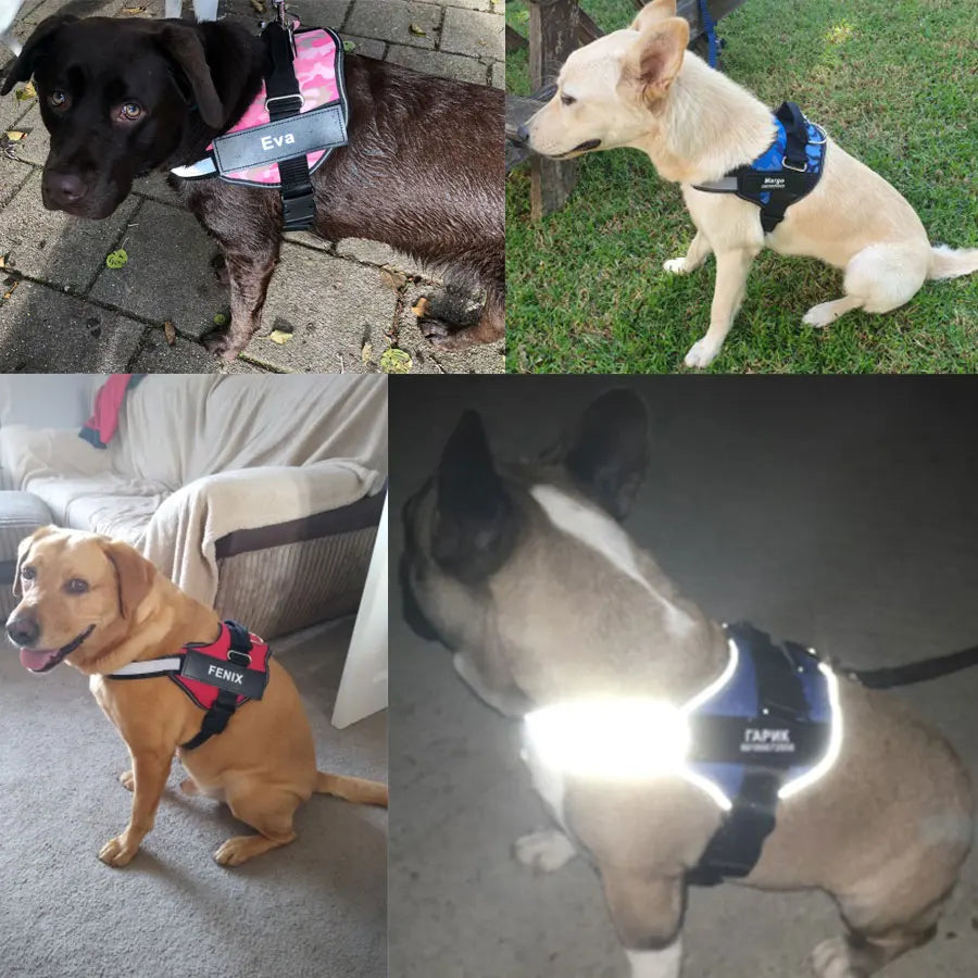 Dog Harness NO PULL Reflective Breathable