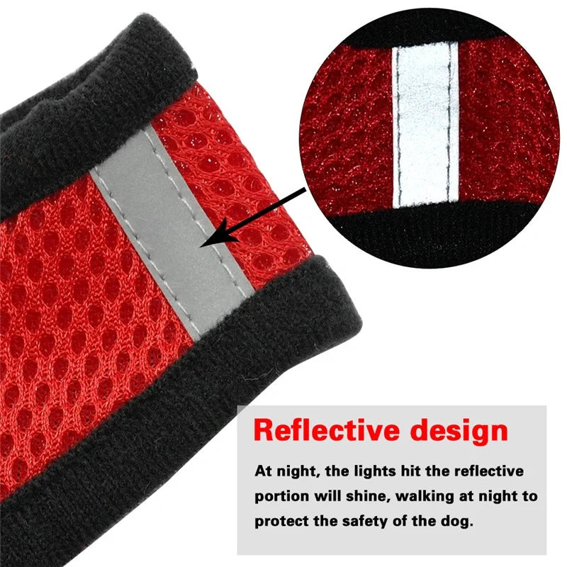 Dog Harness for Small Dogs Cats