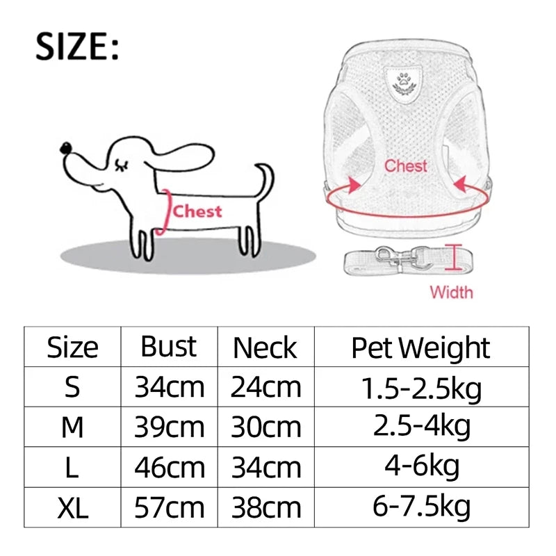 Dog Harness for Small Dogs Cats