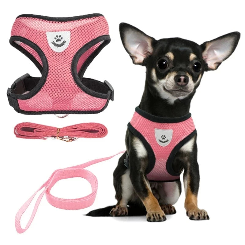 Dog Harness for Small Dogs Cats