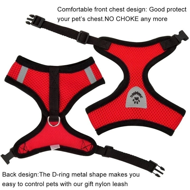 Dog Harness for Small Dogs Cats