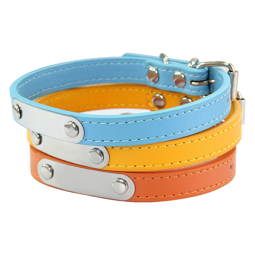 Personalized Dog Collar
