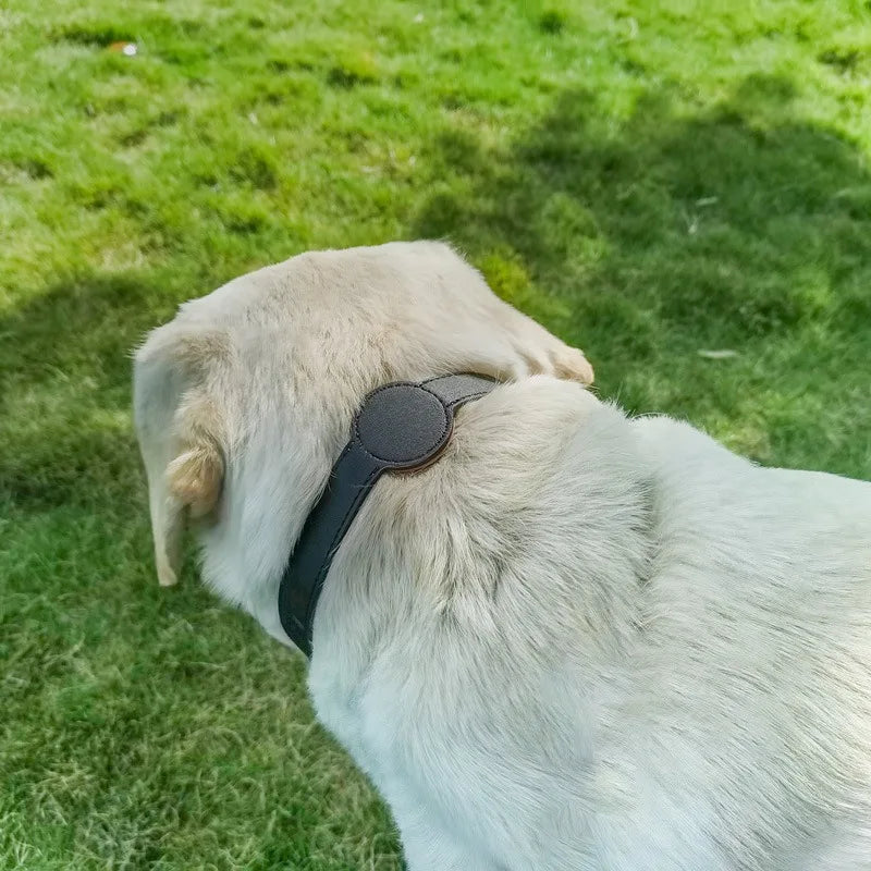 For Apple Airtag Protective Tracker Waterproof Pet Dog Collar