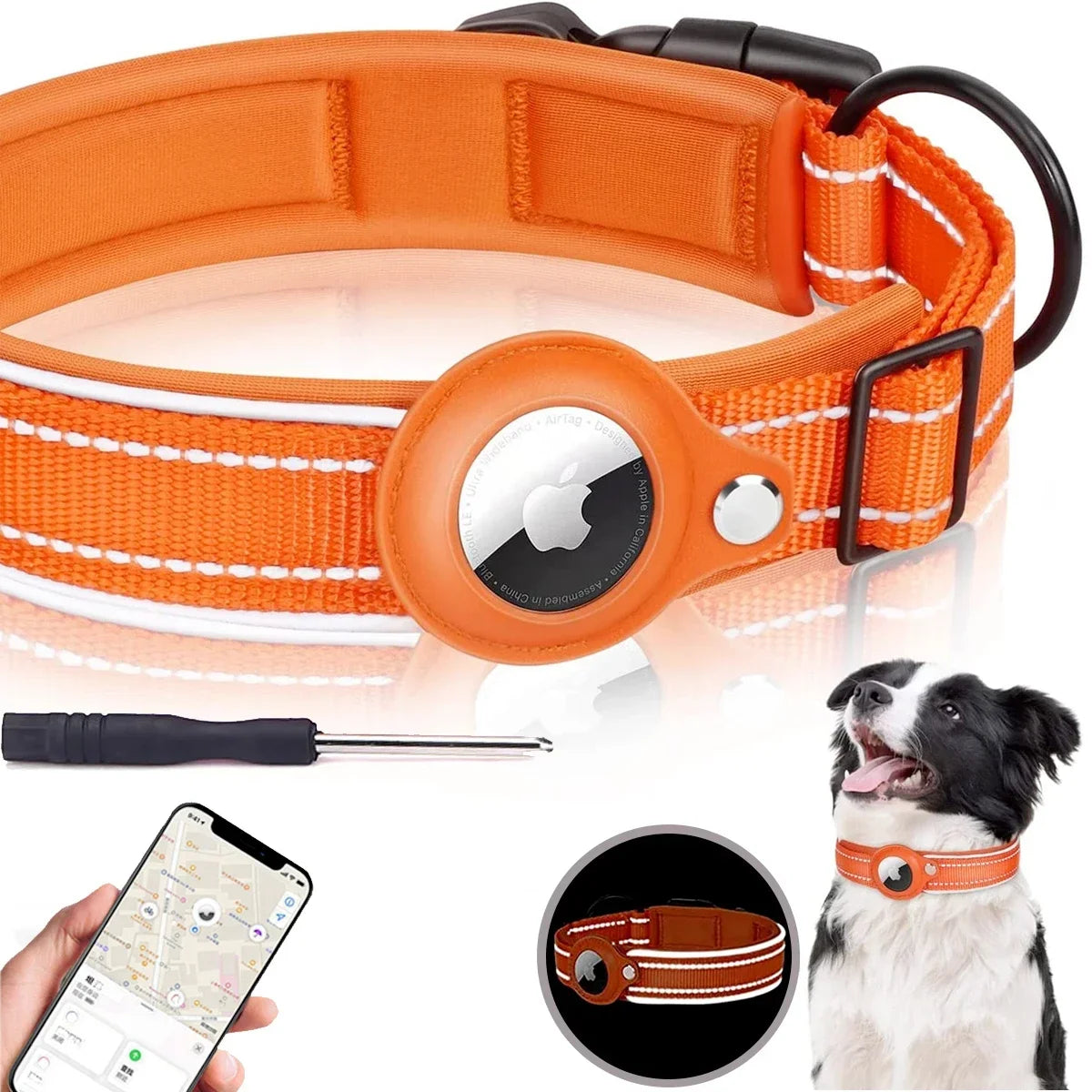 Pet Dog Collar