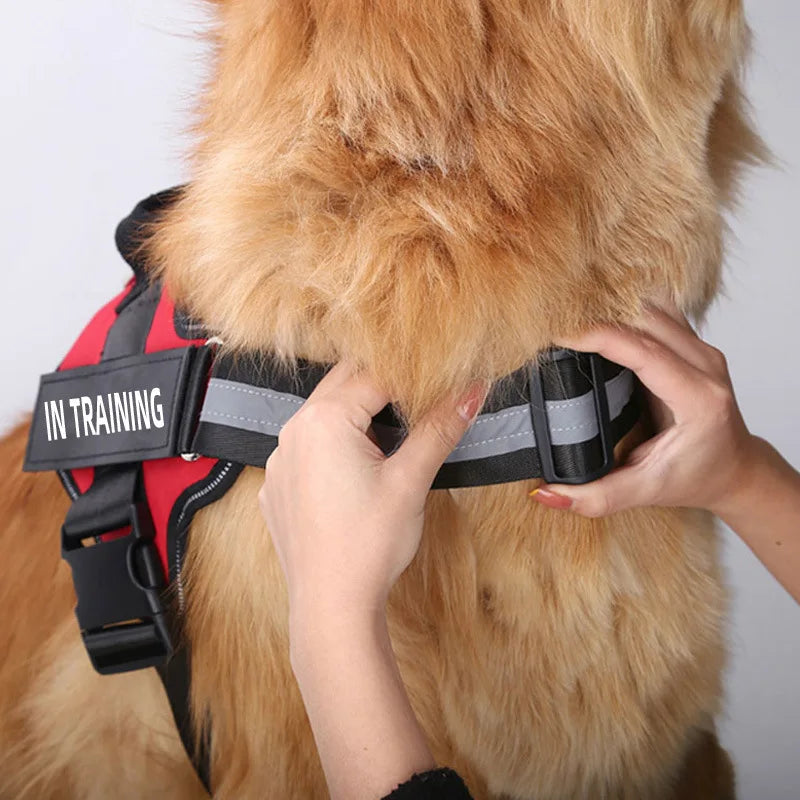 Dog Harness NO PULL Reflective