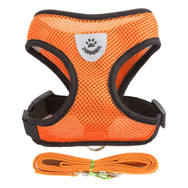 Dog Harness for Small Dogs Cats