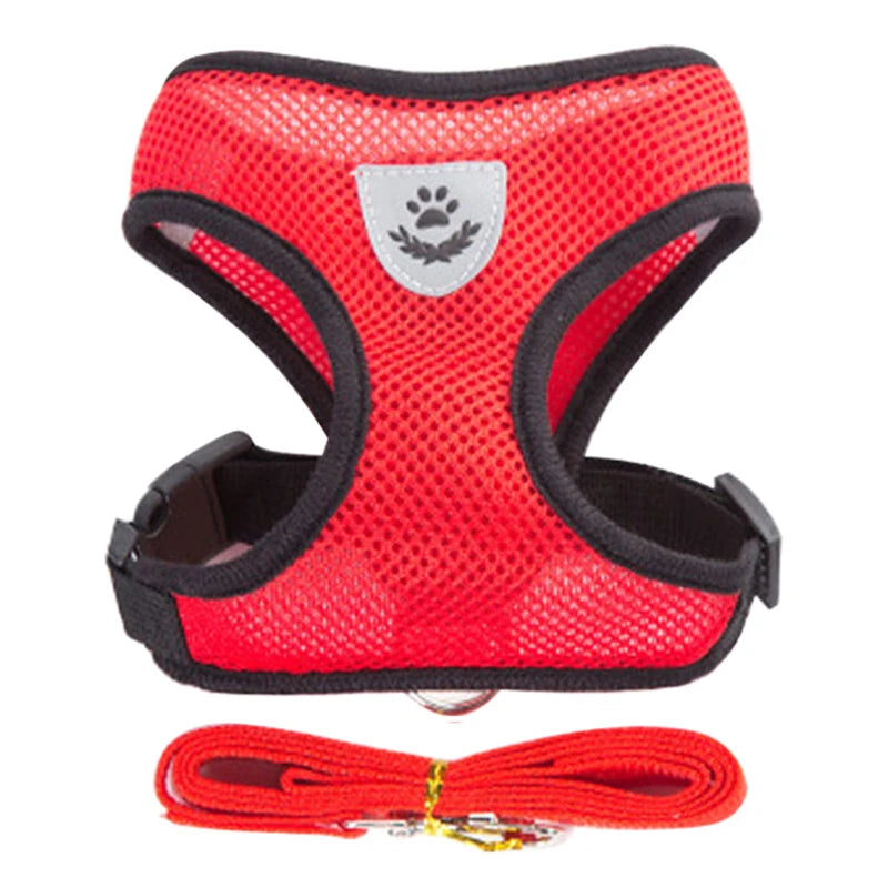 Dog Harness for Small Dogs Cats