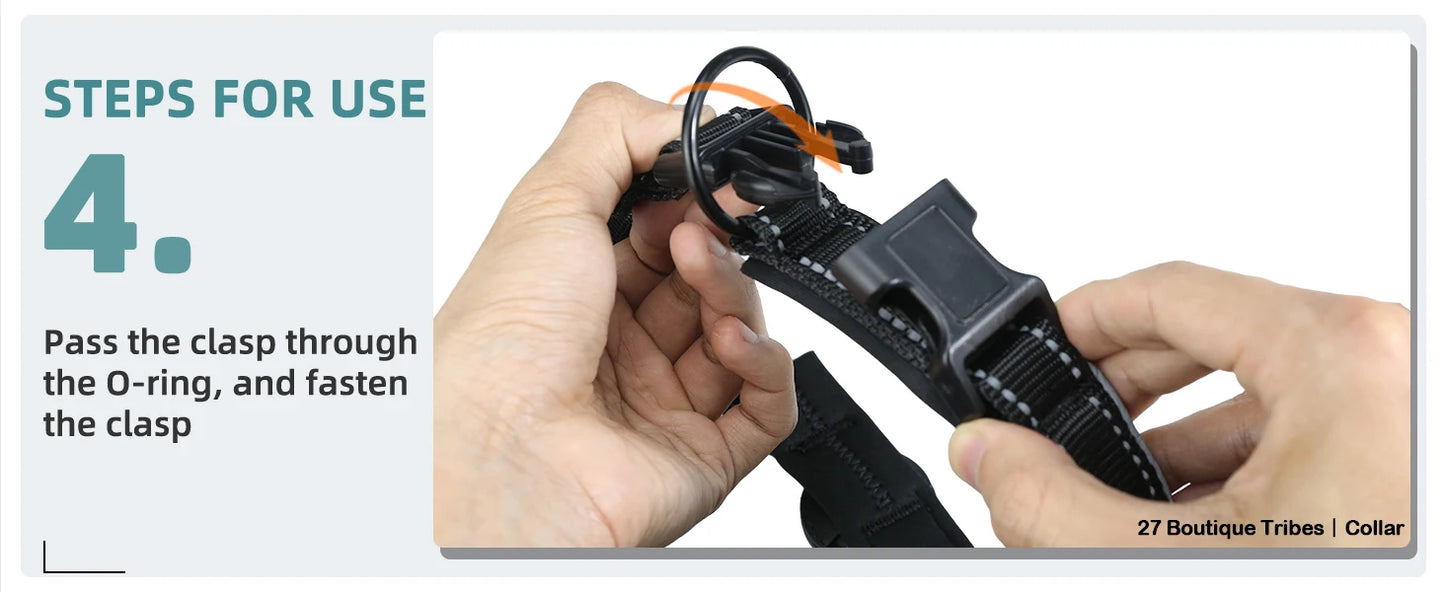 Pet Dog Collar