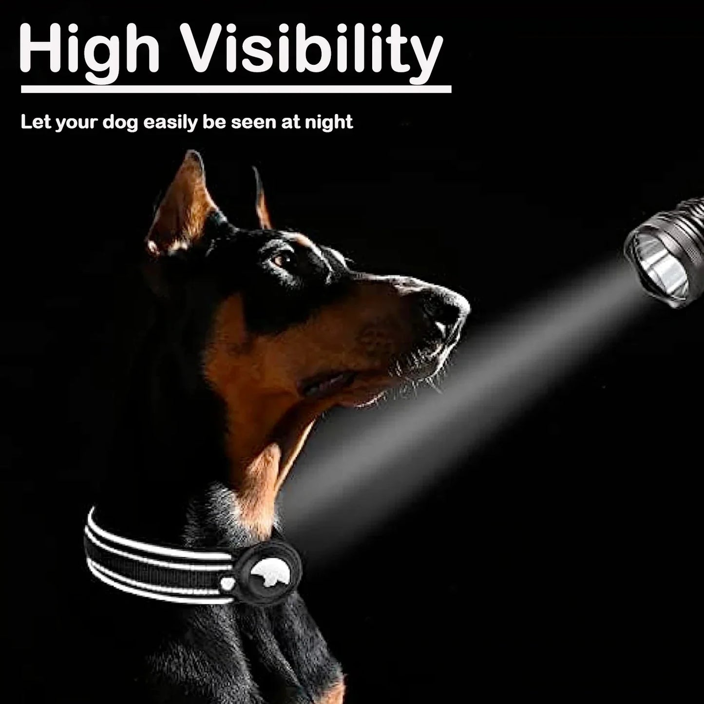 Pet Dog Collar
