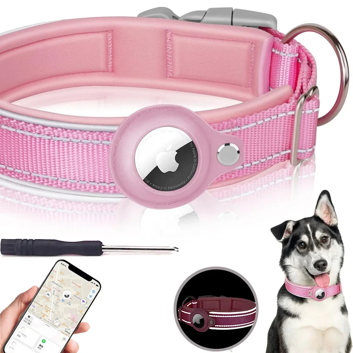 Pet Dog Collar
