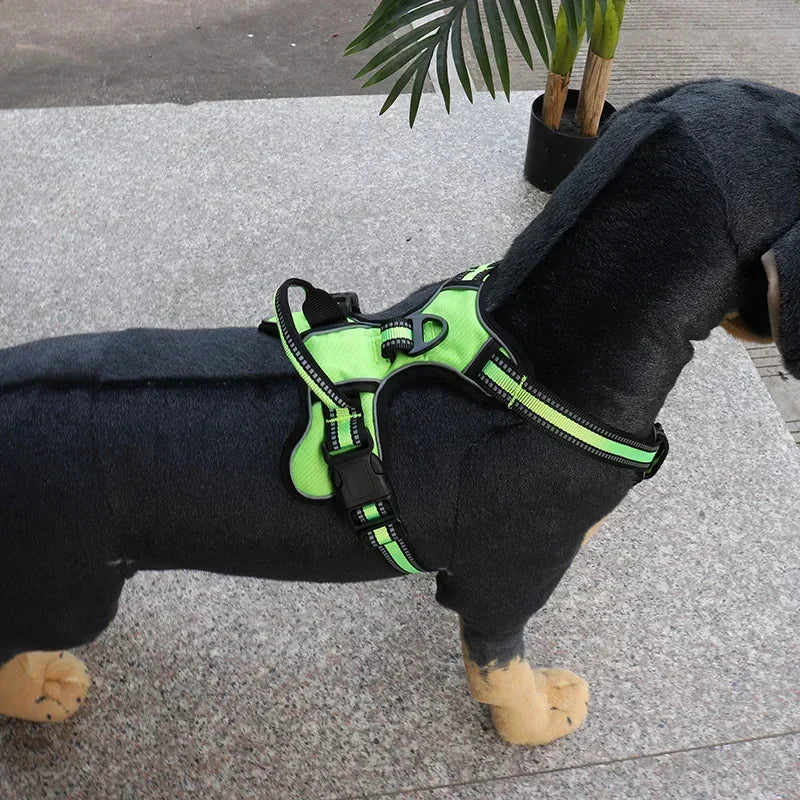 Adjustable Nylon Dog Harness