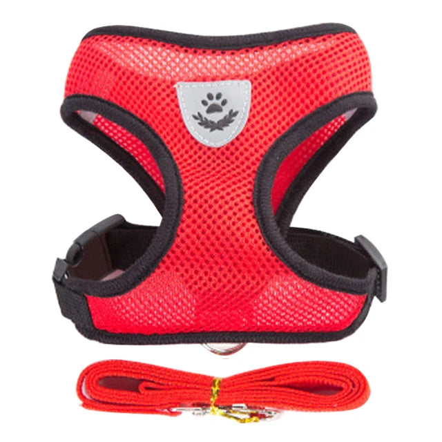 Dog Harness for Small Dogs Cats
