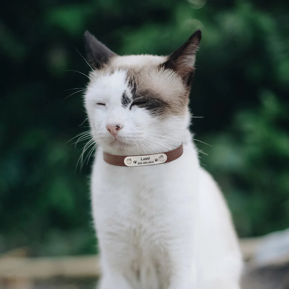 Personalized Dog Collar