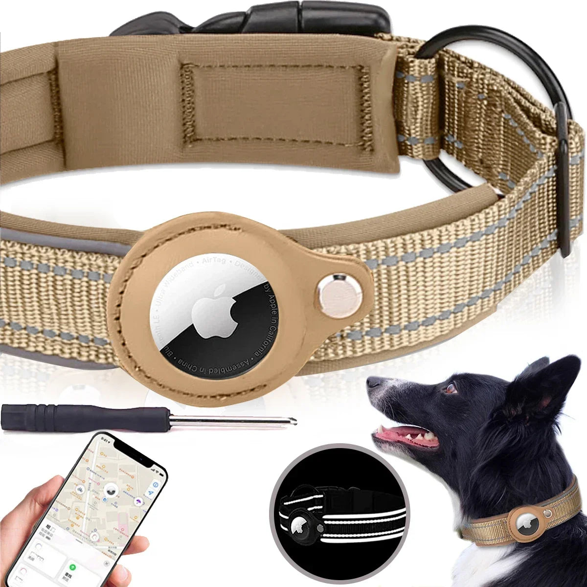 Pet Dog Collar