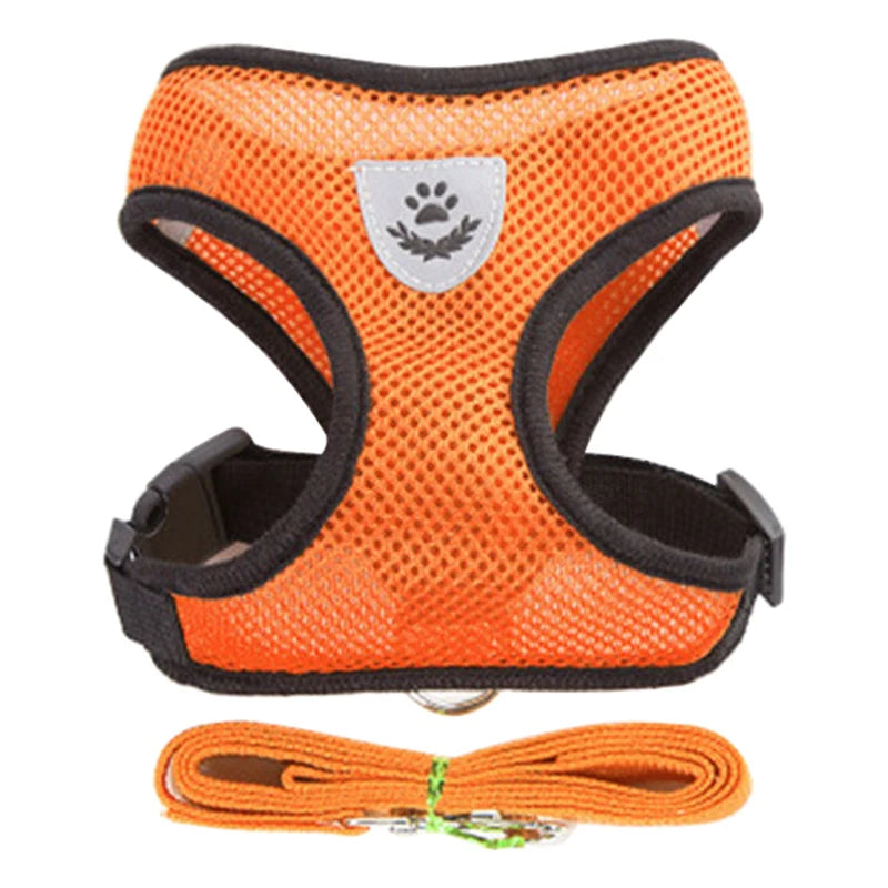 Dog Harness for Small Dogs Cats