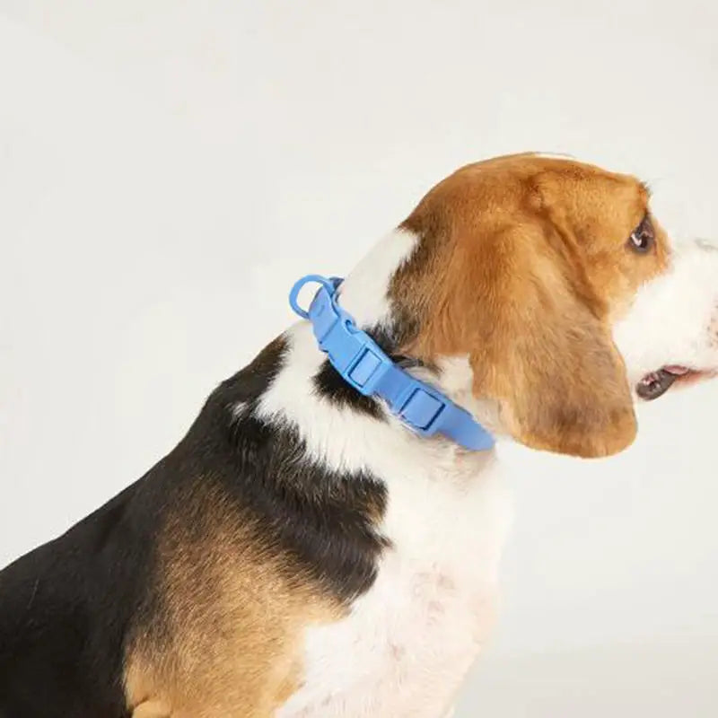 Macaron Colored Dog Pet Collars High Quality Waterproof