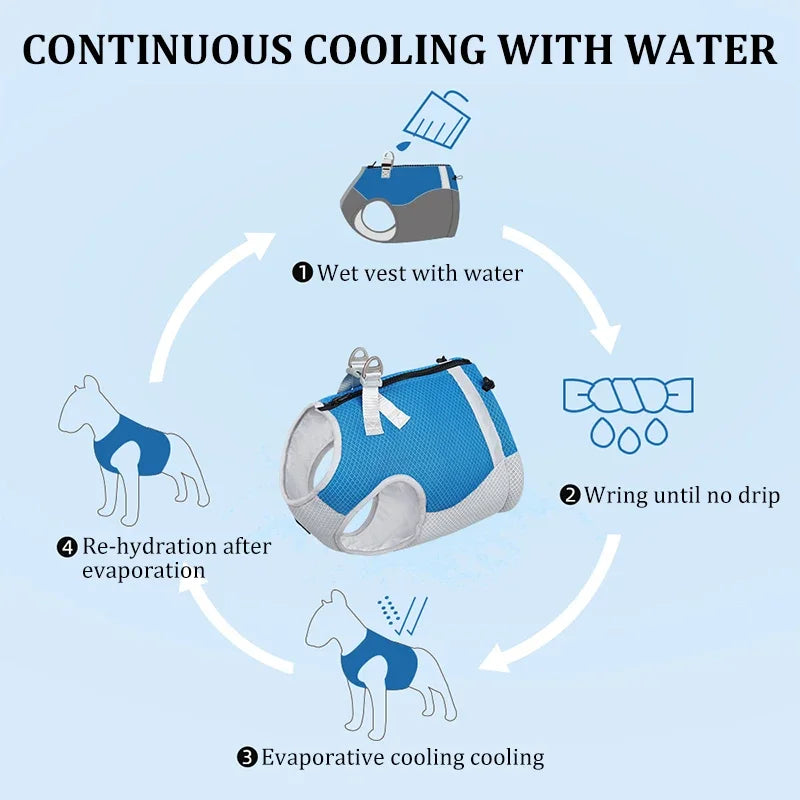 Dog Cooling Vest Dog Harness