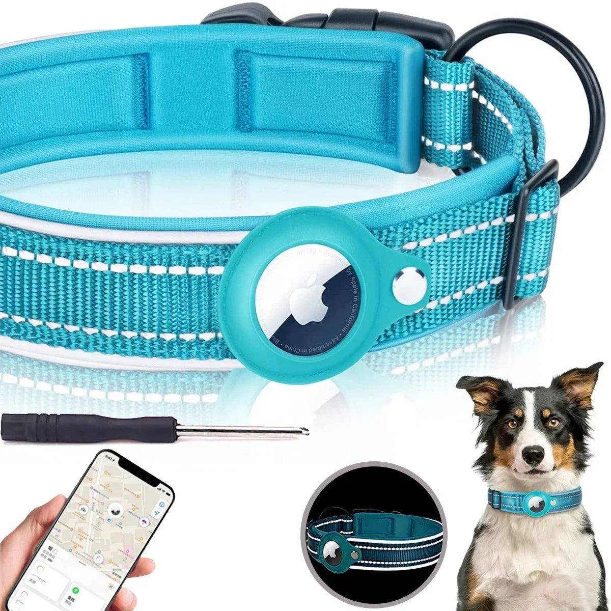 Pet Dog Collar