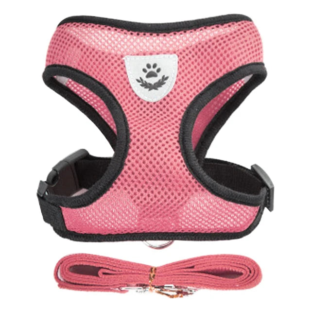 Dog Harness for Small Dogs Cats