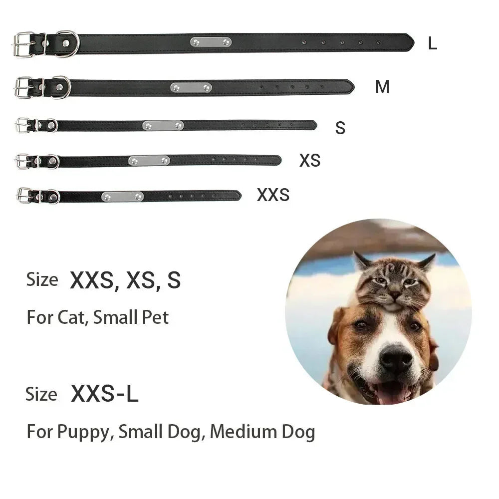 Personalized Dog Collar