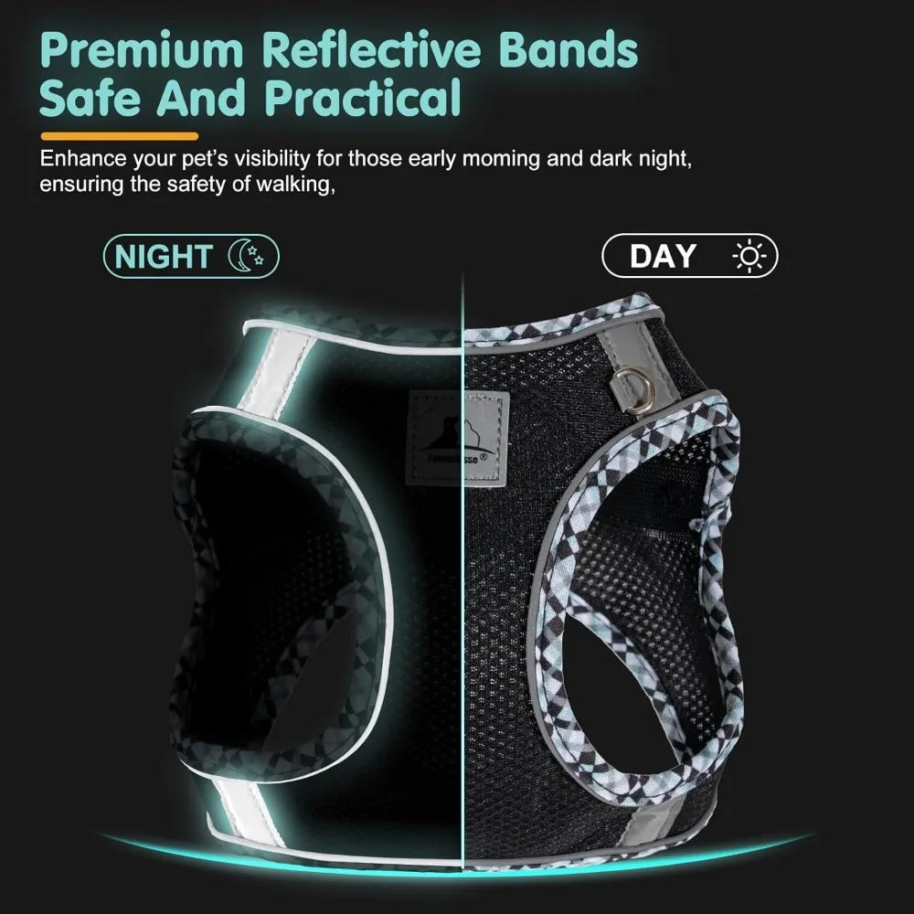 Dog Harness and Leash Set, No Pull Pet Harness