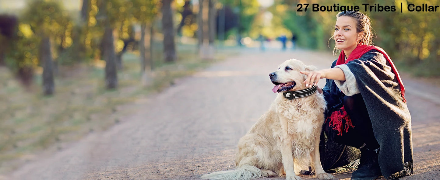 Pet Dog Collar