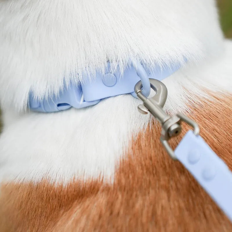 Macaron Colored Dog Pet Collars High Quality Waterproof