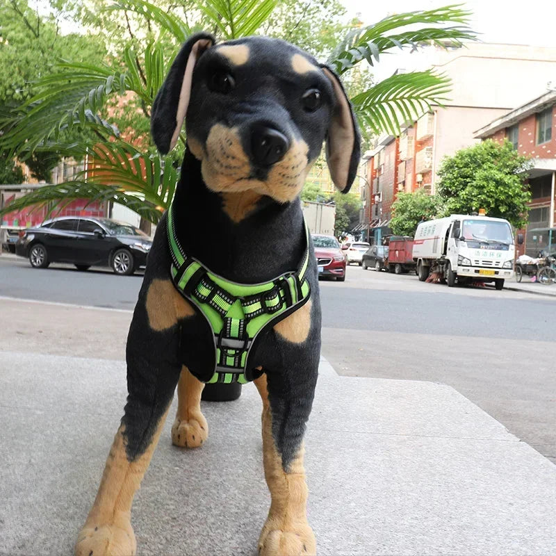 Adjustable Nylon Dog Harness