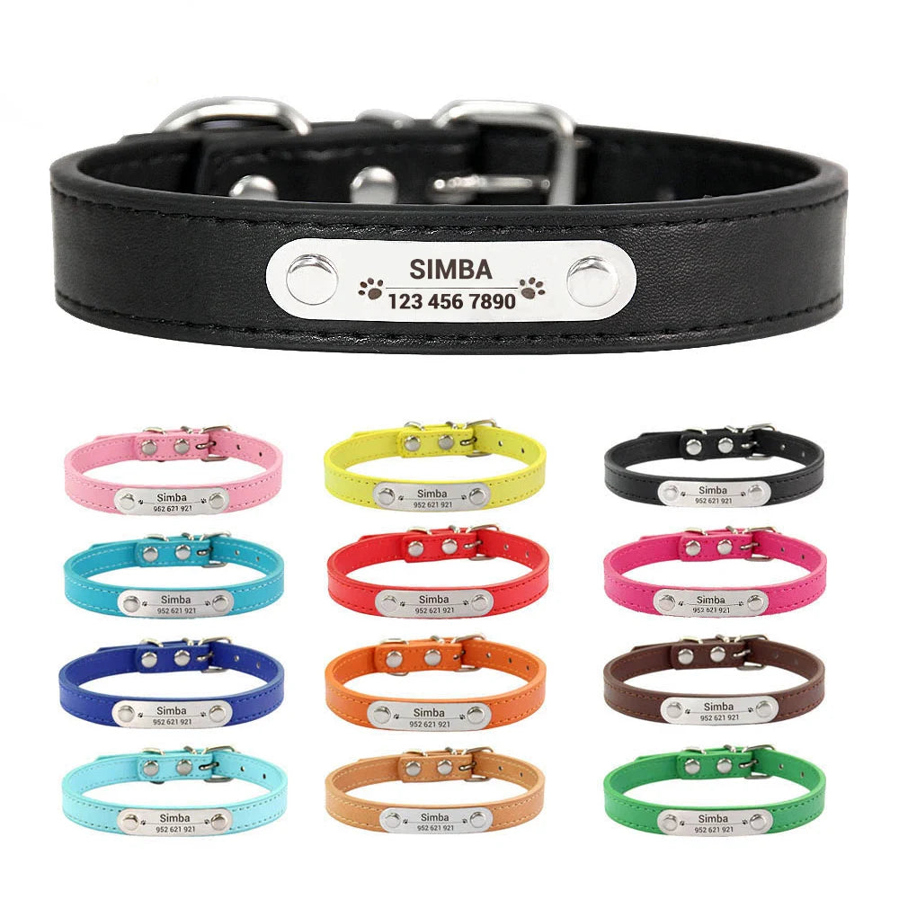 Personalized Dog Collar