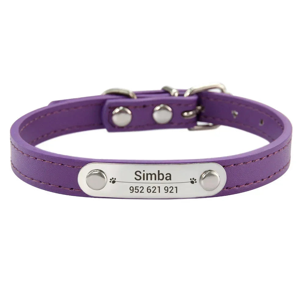 Personalized Dog Collar