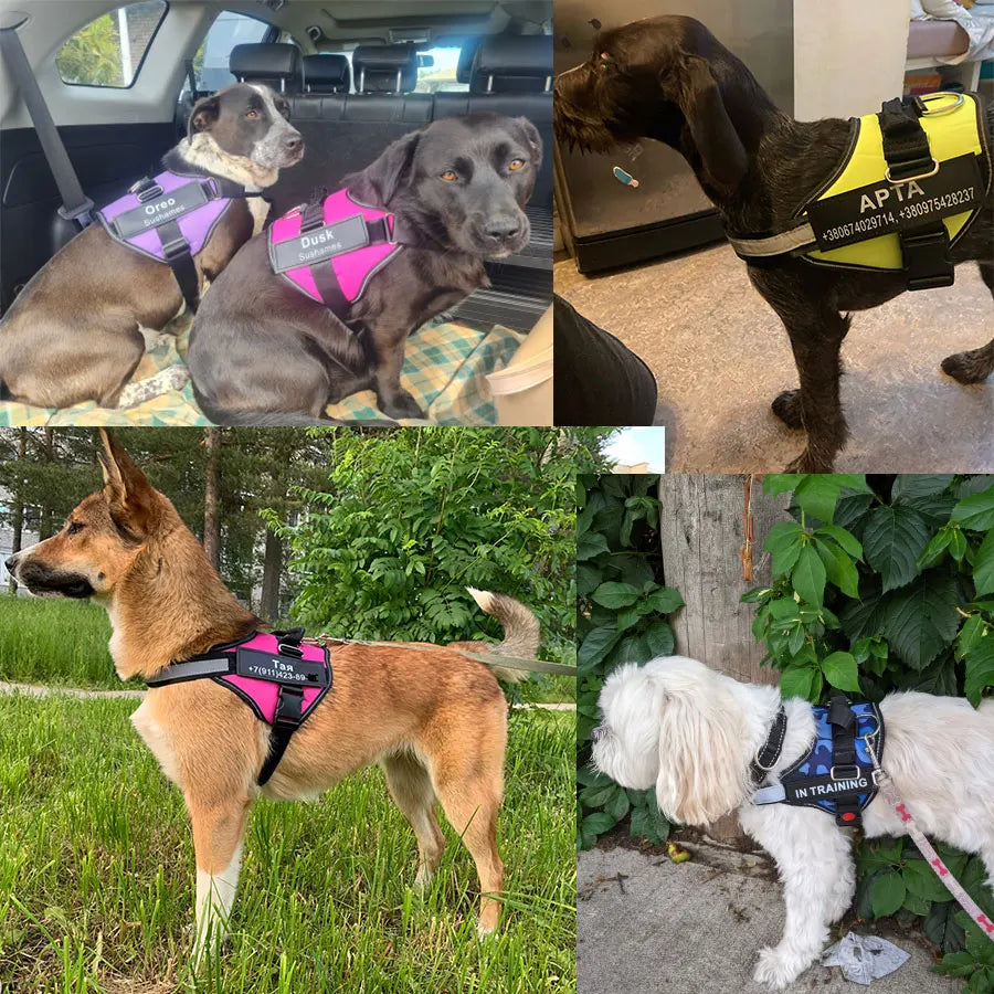 Dog Harness Vest ID Patch Customized Reflective Breathable Adjustable Pet Harness For Dog NO PULL Pet Outdoor Harness