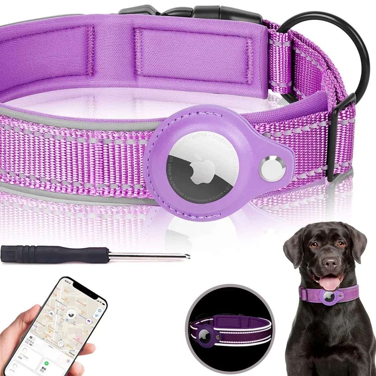 Pet Dog Collar