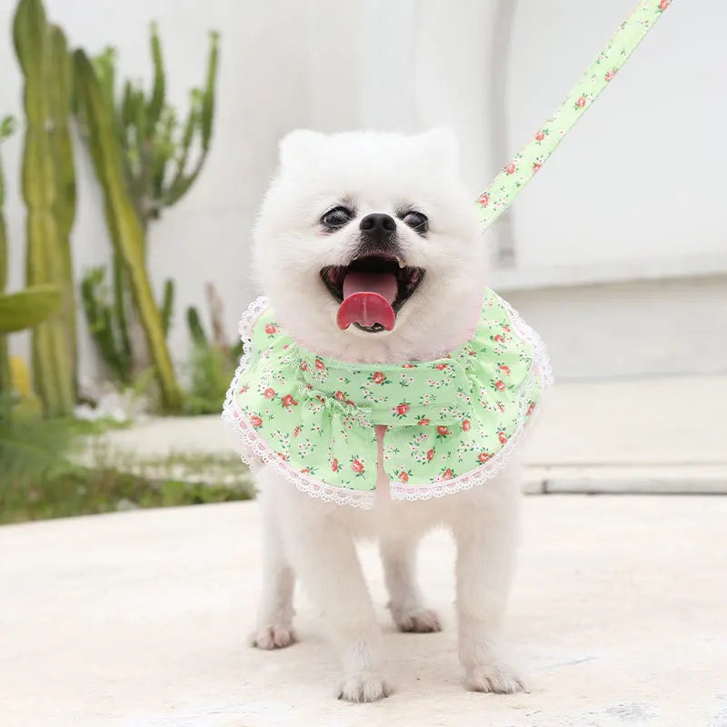 Dog Cat Harness Leash Set Adjustable Lace Floral Printed Pet Harness Vest Cute Dog Clothes Puppy Mesh Harness Dog Accessories