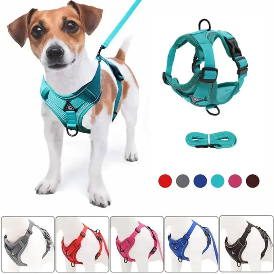 No Pull Dog Harness