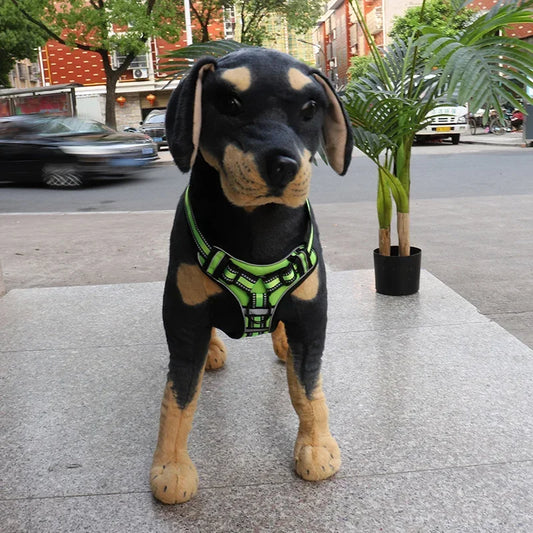 Adjustable Nylon Dog Harness