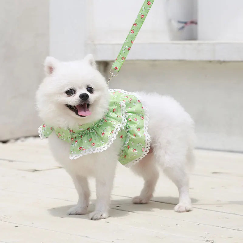 Dog Cat Harness Leash Set Adjustable Lace Floral Printed Pet Harness Vest Cute Dog Clothes Puppy Mesh Harness Dog Accessories