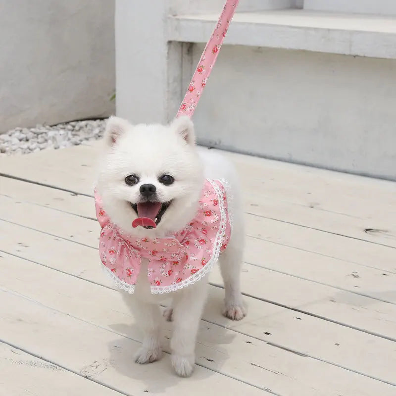 Dog Cat Harness Leash Set Adjustable Lace Floral Printed Pet Harness Vest Cute Dog Clothes Puppy Mesh Harness Dog Accessories