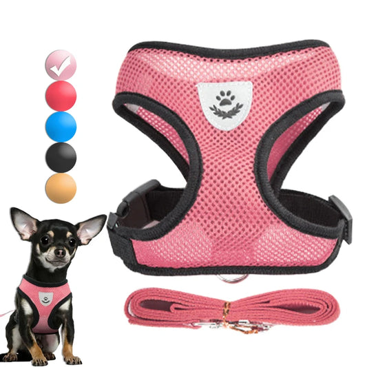 Dog Harness for Small Dogs Cats