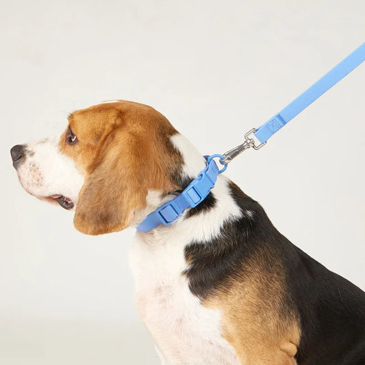 Macaron Colored Dog Pet Collars High Quality Waterproof
