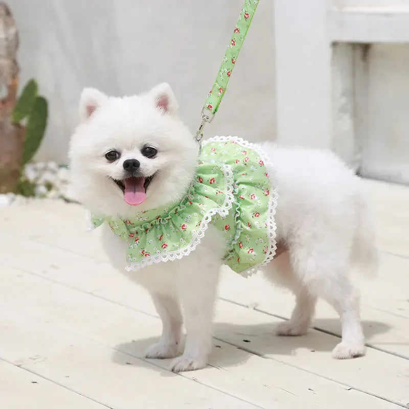 Dog Cat Harness Leash Set Adjustable Lace Floral Printed Pet Harness Vest Cute Dog Clothes Puppy Mesh Harness Dog Accessories